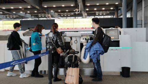 春運保障 白云信科可切換行李托運設(shè)備投用,為白云機場春運保駕護航