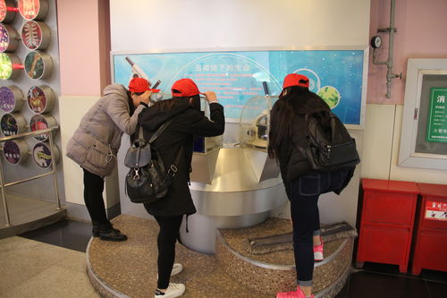 樂于探索，熱愛科學 酒店管理系青年志愿者赴科技館開展專業融合之旅